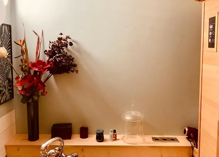 Belle Chambre Avec Sauna Dans Quartier Calme
